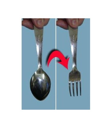 Spoon To Fork
