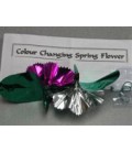 Color Changing Spring Flower