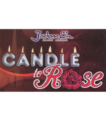 Candle To Rose