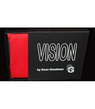 Vision ( Stardard Business Card Size )
